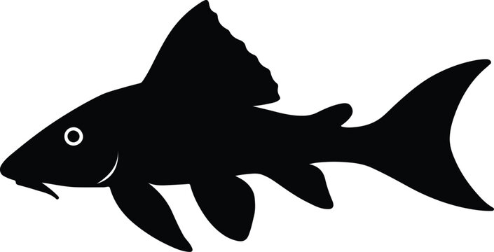 Silhouette pleco fish pet shop aquarium underwater vector illustrator