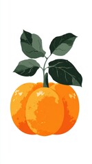Bright orange fruits with green leaves displayed prominently on a white background during a sunny day