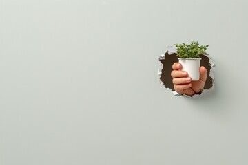 Hand holding a small plant pot emerging from a hole in a light grey wall.