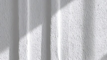 Sunlight is creating shadows on a white textured wall, providing a minimalist and abstract background