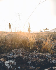 Sunlight glowing through the grass in an early morning on the hills in Koraput, Odisha, India in November 2024....