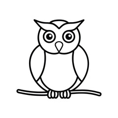 owl on white background