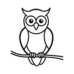 owl on white background