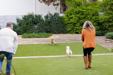 Couple standing on private backyard turf watching golden retriever running toward puppy