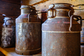 Rusted milk cans lined up on a wooden surface in a green forest during sunny daylight