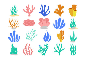 Hand Drawn Sea Plant Element