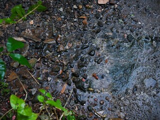 The gravelly ground surface wet after the rain.