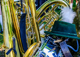 Musical instruments resting against a tree during a festive gathering in a park on a sunny afternoon
