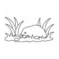 Cute mole peeking from grass animal wildlife