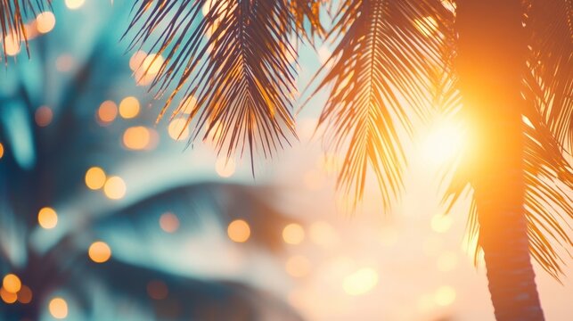Tropical palm tree with colorful bokeh sun light on sunset sky cloud abstract background