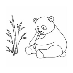 Panda eating bamboo animal wildlife