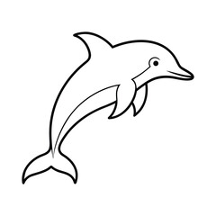 dolphin isolated on white background