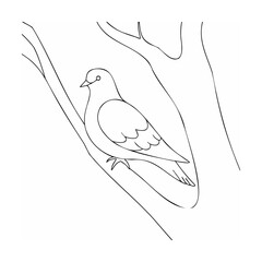 Dove perched on a tree branch bird