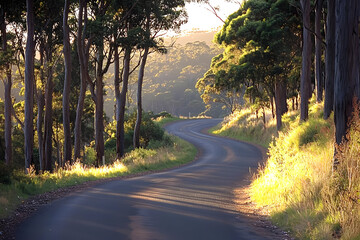 Obraz premium Scenic Winding Road Curves Through Lush Green Forest at Golden Sunset
