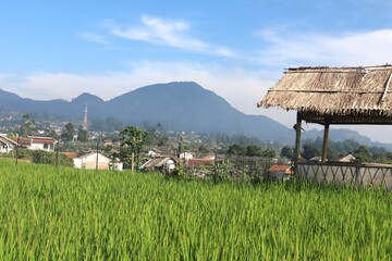 Fertile Rice Fields With A Backdrop Of Mountains And Villages