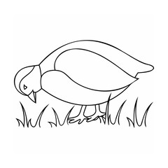 Black and white illustration of a bird pecking at grass