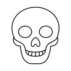 human skull vector illustration