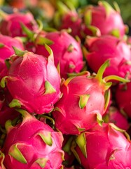 Close up of red dragon fruit in the market