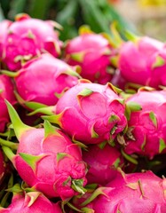 Close up of red dragon fruit in the market