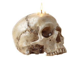 Realistic human skull with a lit candle on its forehead isolated on a transparent background bone skeleton