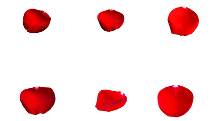 Fototapeta premium Red rose petals scattered in the shape of a heart on a white background. 