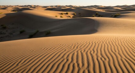 Naklejka premium Golden Desert Landscape with Rippling Sand Dunes in Arid Environment