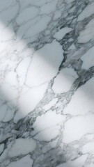 Marble Surface with Intricate Gray Veins and Soft Shadows