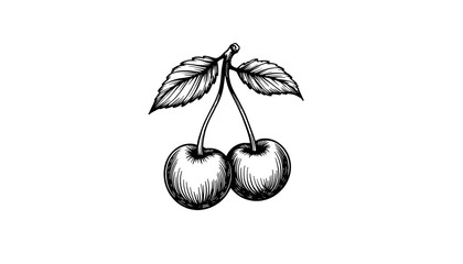 Drawing of two cherries with leaves in black and white sketch style  
