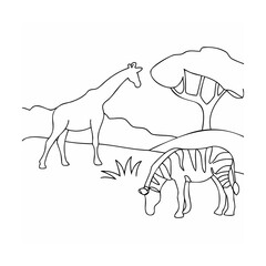 Giraffe and zebra grazing under acacia tree savanna