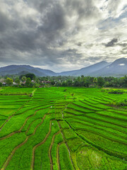 Beautiful morning view indonesia panorama landscape paddy fields with beauty color and sky natural...
