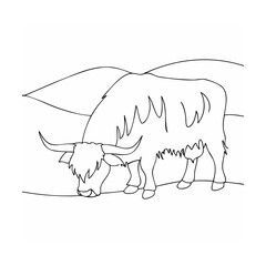 Highland cow grazing in a landscape cattle bovine