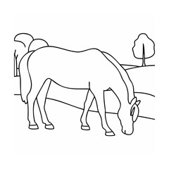 Horse grazing in a field animal meadow