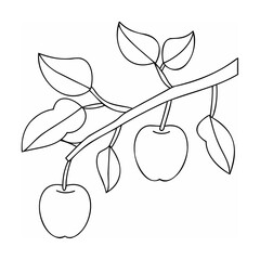 Apples on a branch with leaves fruit nature
