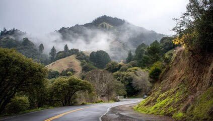 Winding asphalt road through rolling green hills enveloped in fog, with lush vegetation lining the roadside against a cloudy sky
