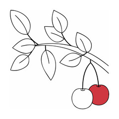 Red and white cherries on a branch with leaves cherry
