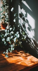 Sunlight streams onto a wooden surface next to a windowsill with a potted plant, casting shadows on the wall