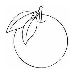 Orange fruit with leaves outline food healthy