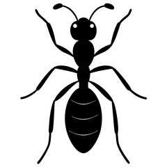  a ant on white background Black silhouette