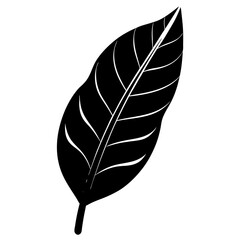 Minimal banana leaf white BG"