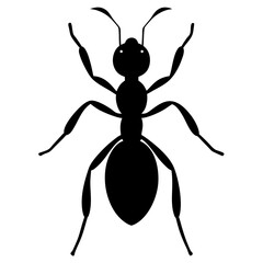  a ant on white background Black silhouette