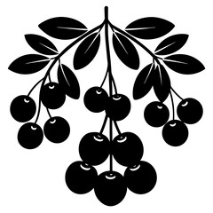 Elegant Silhouette Of Hanging Cranberries