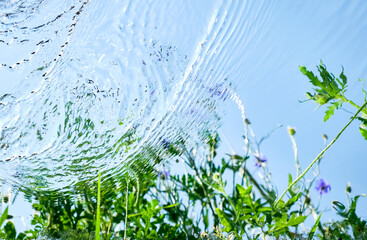 Close-up of water ripples reflecting plants and clear blue sky, creating a natural abstract composition. 