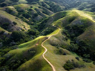 Winding dirt path through rolling green hills landscape