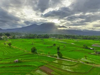 Gordijnen Beautiful morning view indonesia panorama landscape paddy fields with beauty color and sky natural light © rahmadhimawan