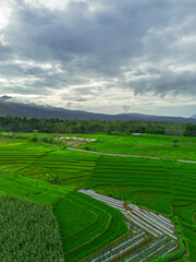 Beautiful morning view indonesia panorama landscape paddy fields with beauty color and sky natural...