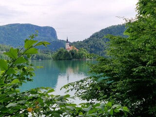 Insel auf dem Bleder See