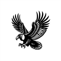 Obraz premium Eagle in flight isolated on white