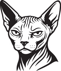 Fototapeta premium angry sphynx cat vector illustration