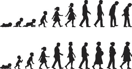 Life stages illustration, growing up timeline, childhood to old age, aging process silhouette, male female development, human life journey