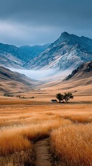 Dry Grass Field with Fog and Distant Hills. High quality